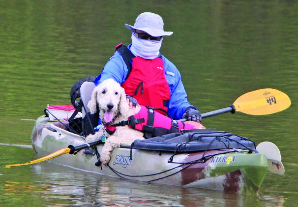 Sentinel Photo/Mike Reddell Not many paddlers have their own Labradoodle kayak companion like this one at Rally on the River Saturday.